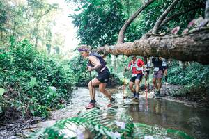 BIB: 
                            <button type="button" onclick="openModal(25441373)" class="btn btn-primary btn-sm float-right btn-popup" data-toggle="modal" data-target=".modal-high-quality">
                        <i class="fas fa-shopping-cart"></i> Add to Cart
                    </button>
                                            <button type="button" onclick="isThisMe(25441373, true)" class="btn btn-success btn-sm float-right btn-popup btn-isme hidden" data-toggle="tooltip" data-placement="bottom" title="นี่คือรูปของคุณใช่ไหม คลิกที่นี่เพื่อเอาเข้าอัลบั้ม">
                        <i class="fas fa-plus"></i> Add to album
                    </button>
                    <button type="button" onclick="isThisMe(25441373, false)" class="btn btn-warning btn-sm float-right btn-popup btn-isnotme hidden">
                        <i class="fas fa-ban"></i> Remove from album
                    </button>